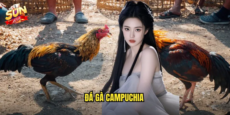 đá gà campuchia