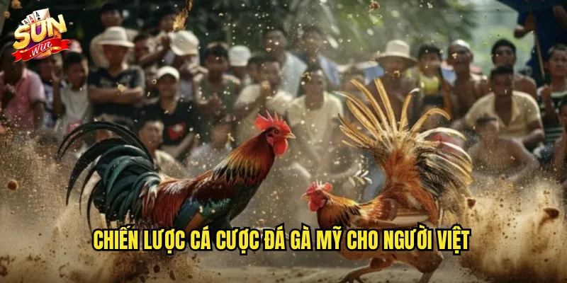 Chiến lược cá cược đá gà mỹ cho người Việt