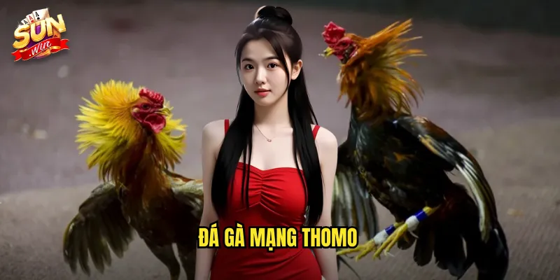 đá gà mạng thomo