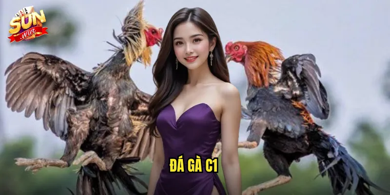 đá gà C1