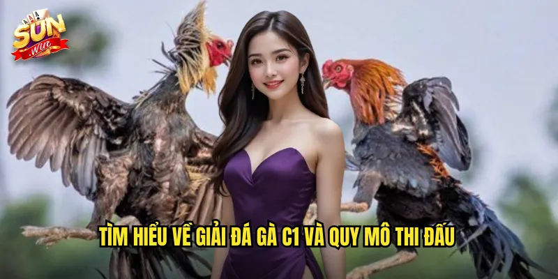 Tìm hiểu về giải đá gà C1 và quy mô thi đấu