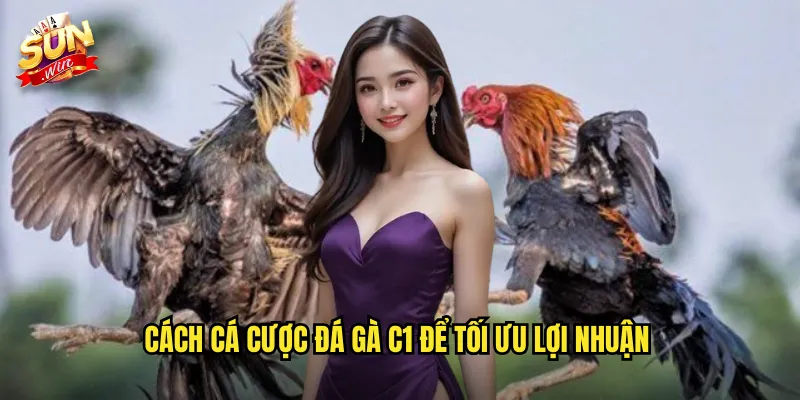 Cách cá cược đá gà C1 để tối ưu lợi nhuận
