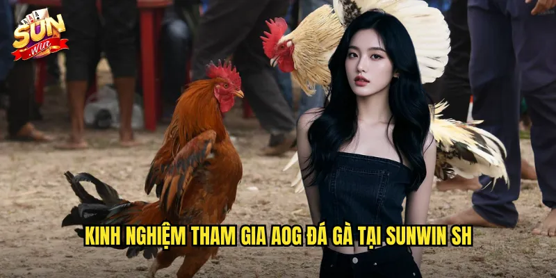 Kinh nghiệm tham gia AOG đá gà tại Sunwin SH