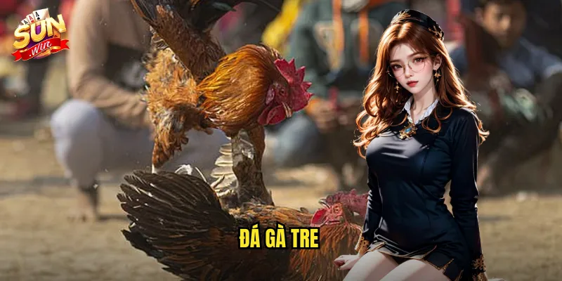 Đá Gà Tre Sunwin SH - Truyền Thống Dân Gian Việt Nam Trên Nền Tảng Hiện Đại 7 đá gà tre