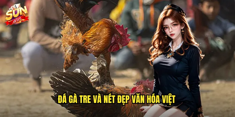Đá gà tre và nét đẹp văn hóa Việt