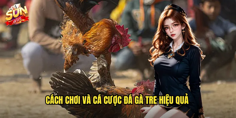 Cách chơi và cá cược đá gà tre hiệu quả