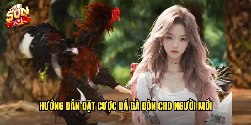 Hướng dẫn đặt cược đá gà đòn cho người mới