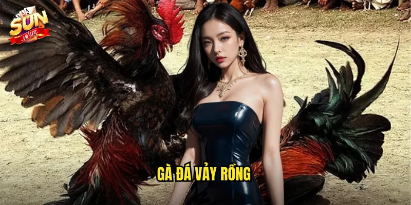 Gà Đá Vảy Rồng Sunwin SH - Giống Gà Quý Hiếm Với Sức Mạnh Phi Thường 3 gà đá vảy rồng