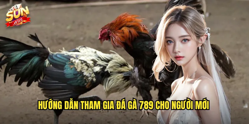 Hướng dẫn tham gia đá gà 789 cho người mới