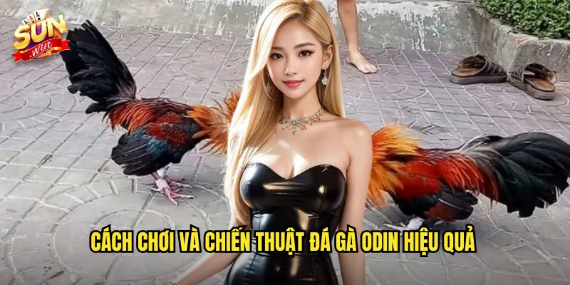 Cách chơi và chiến thuật đá gà Odin hiệu quả