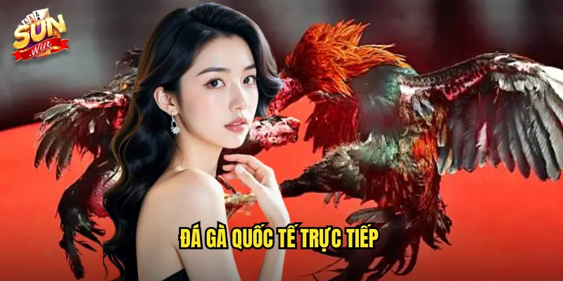 đá gà quốc tế trực tiếp