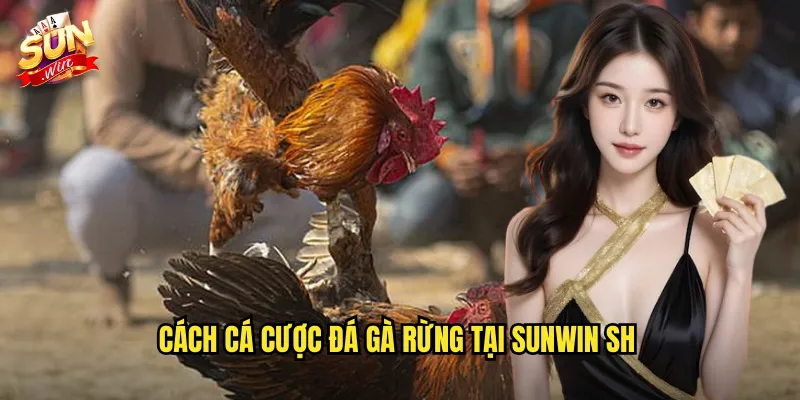 Cách cá cược đá gà rừng tại sunwin sh
