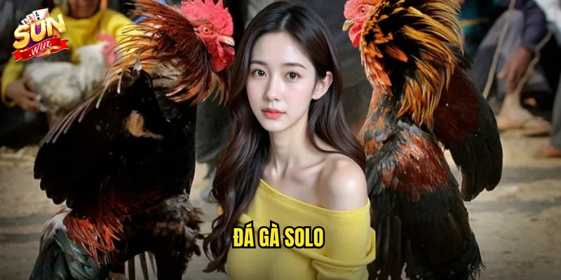 Đá Gà Solo Sunwin SH - Đấu Trường Một Kèo Một Dành Cho Người Chơi Chuyên Nghiệp 1 đá gà solo