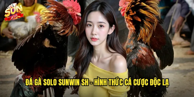 Đá Gà Solo Sunwin SH - Đấu Trường Một Kèo Một Dành Cho Người Chơi Chuyên Nghiệp 2 Đá gà solo sunwin sh - Hình thức cá cược độc lạ