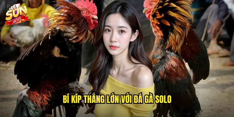 Đá Gà Solo Sunwin SH - Đấu Trường Một Kèo Một Dành Cho Người Chơi Chuyên Nghiệp 3 Bí kíp thắng lớn với đá gà solo