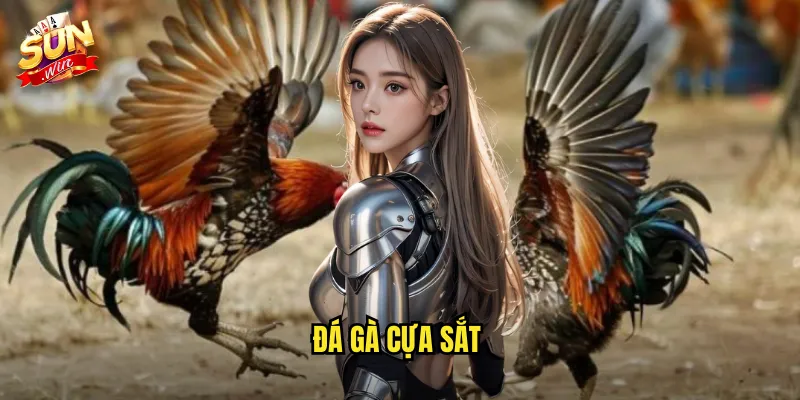 đá gà cựa sắt