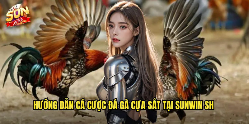 Hướng dẫn cá cược đá gà cựa sắt tại sunwin sh