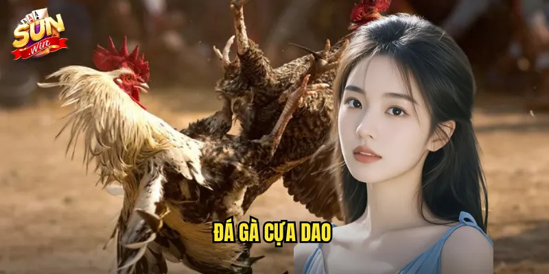 đá gà cựa dao