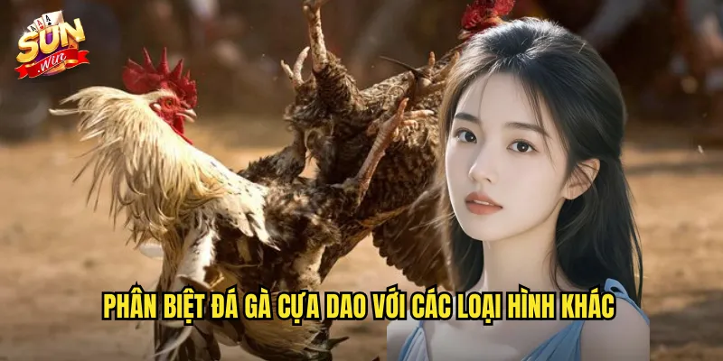 Phân biệt đá gà cựa dao với các loại hình khác