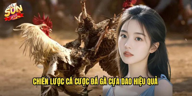 Chiến lược cá cược đá gà cựa dao hiệu quả